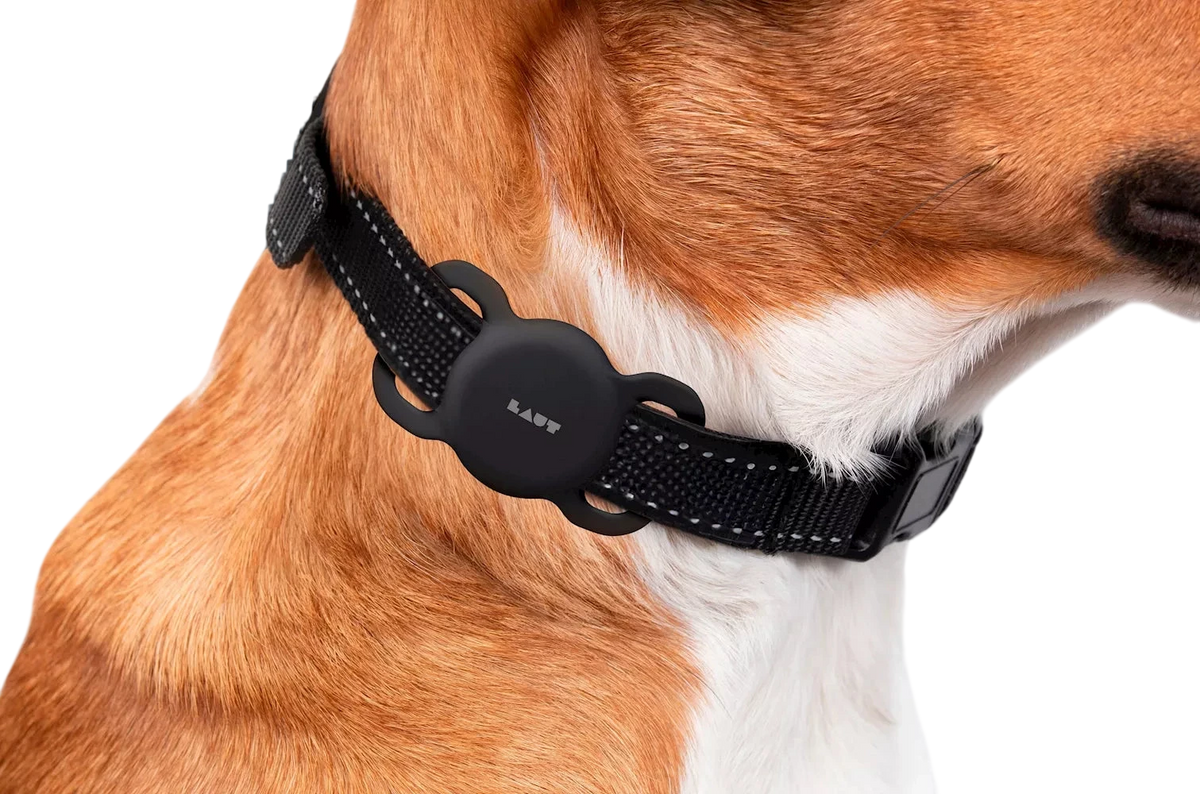 Support de Protection AirTag pour Collier d'Animaux