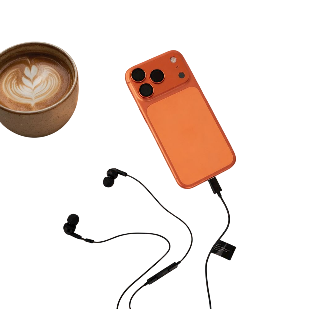 Écouteurs filaires intra-auriculaires MustHavz GoEasy (USB-C - Noir)