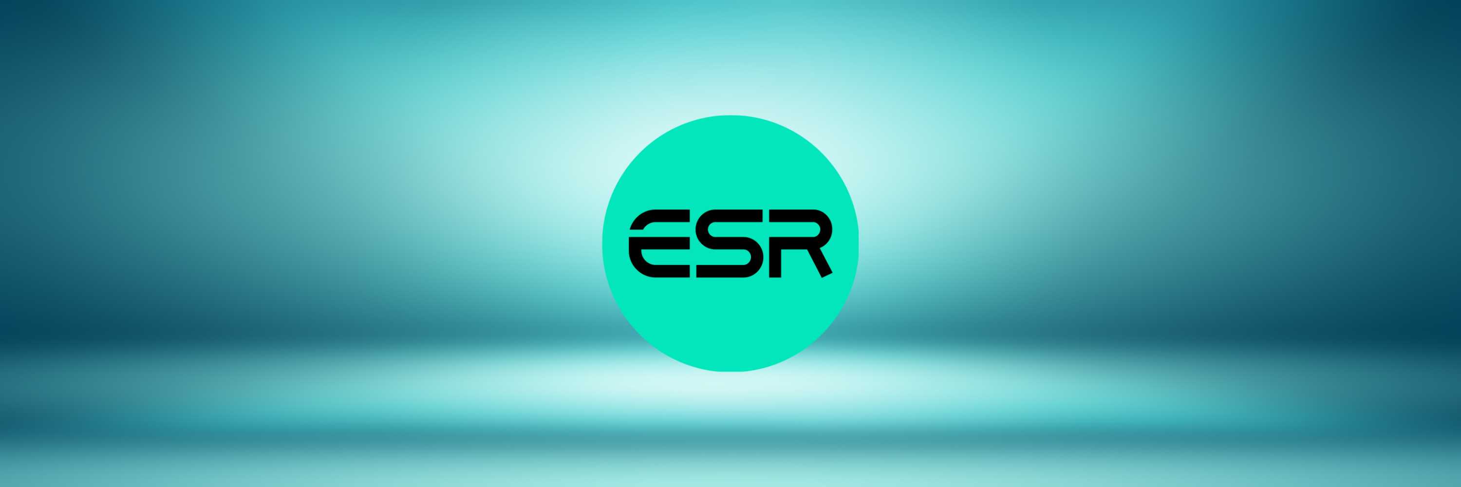 Accessoires - Marque : ESR
