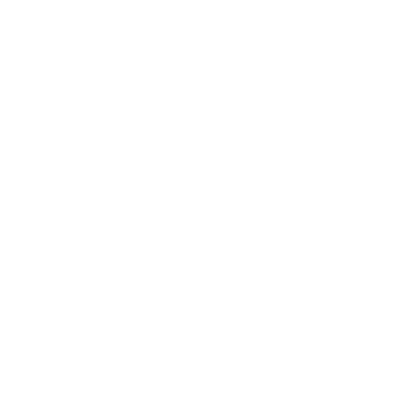 The Factory Business