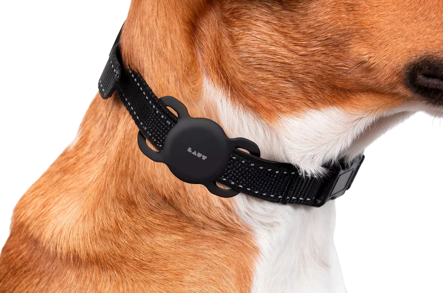 Support de Protection AirTag pour Collier d'Animaux